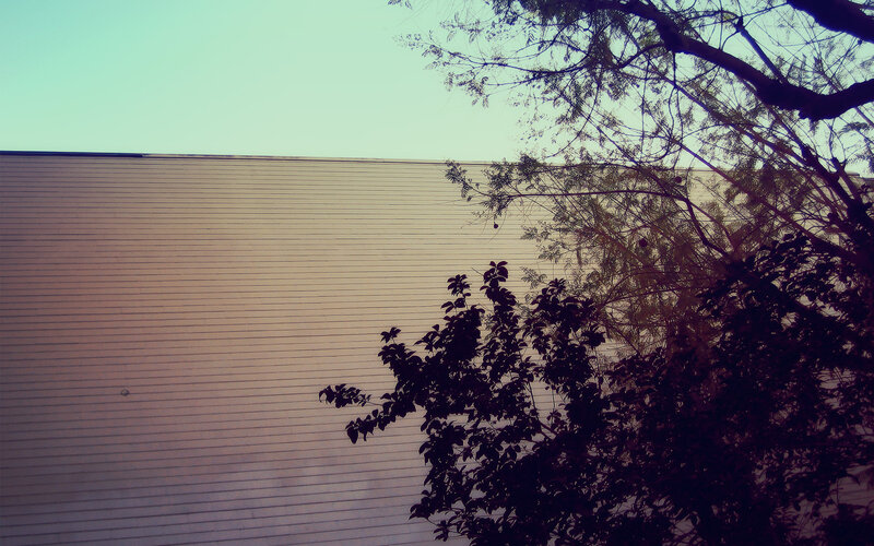building wall with tree branches