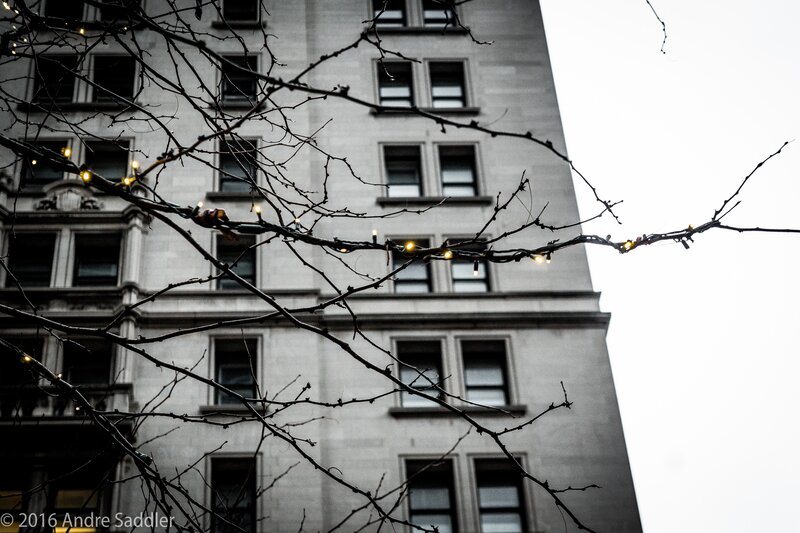 Building with Bare Branches