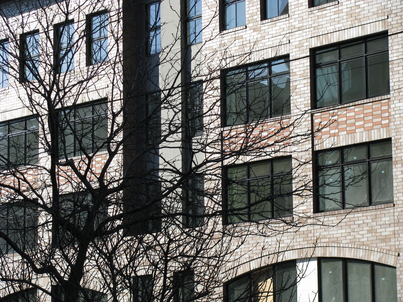 building with bare tree branches