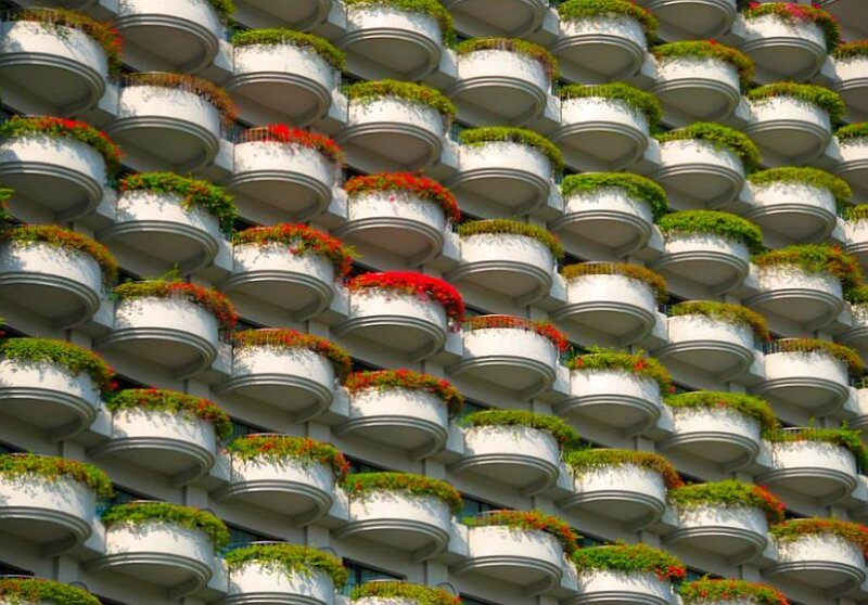 building with flower-filled balconies
