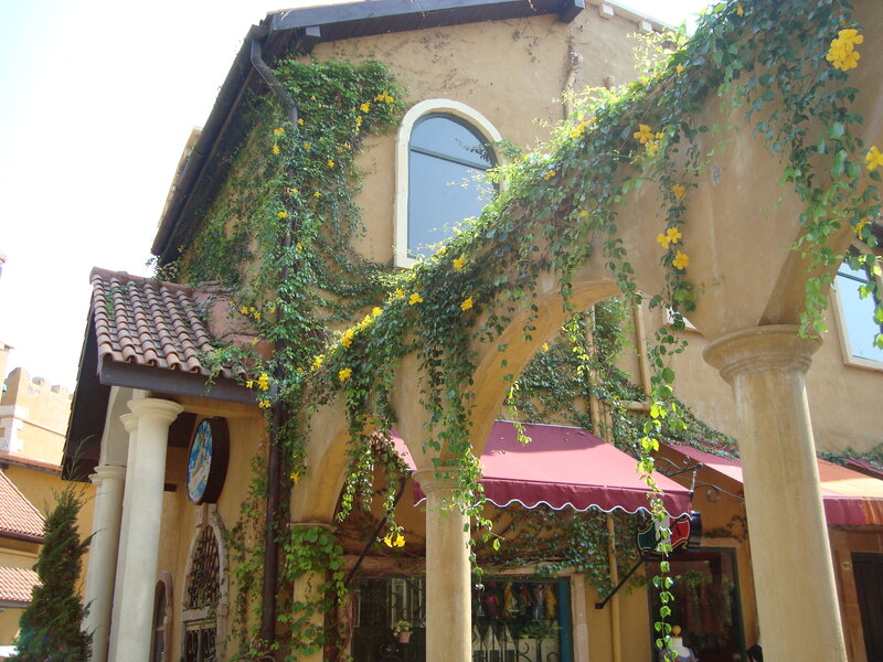 Building with Ivy and Arches