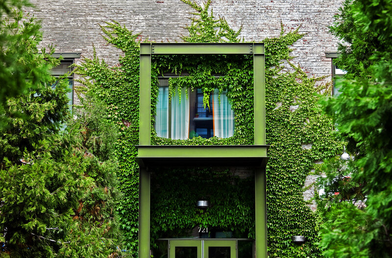 Building with Ivy-covered Facade
