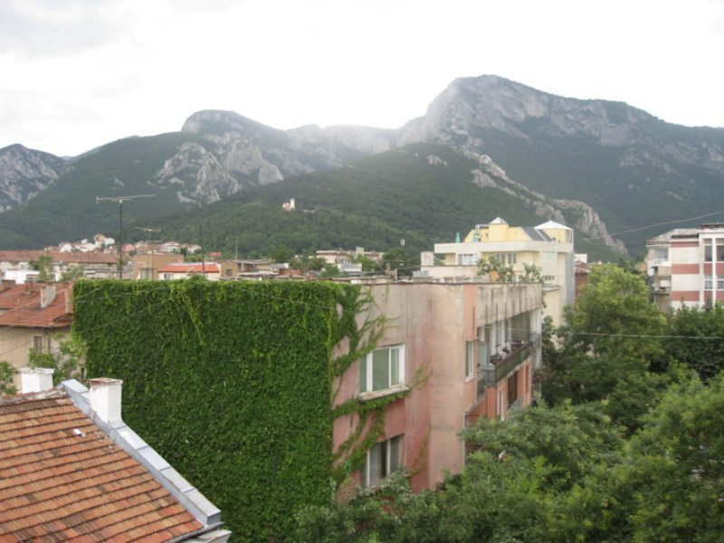 Building with Ivy-covered Wall