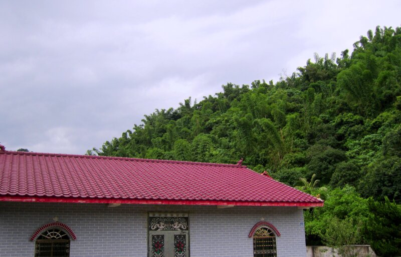 Building with Red Roof — Overcast