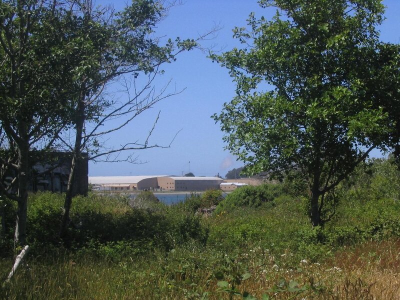Buildings near a body of water