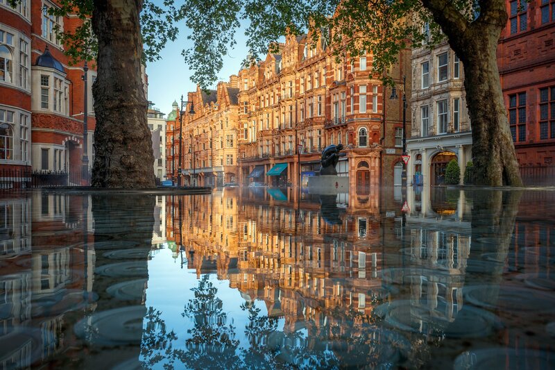 Buildings Reflected in Water — Brown