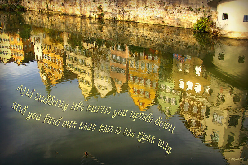 Buildings Reflected in Water — Yellow