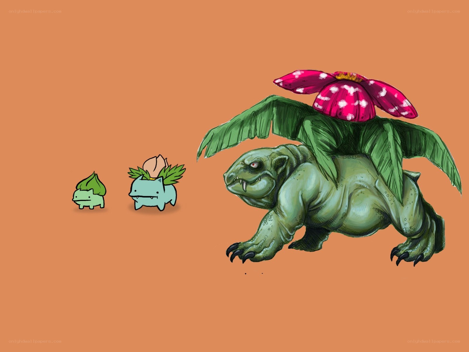Bulbasaur evolution line