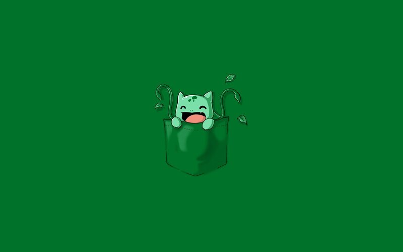 Bulbasaur in a pocket
