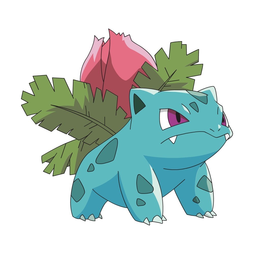 Bulbasaur with flower and leaf