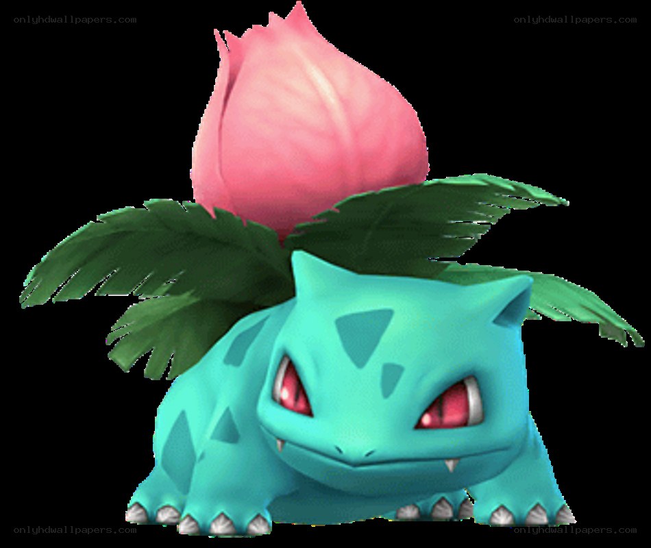 Bulbasaur with flower