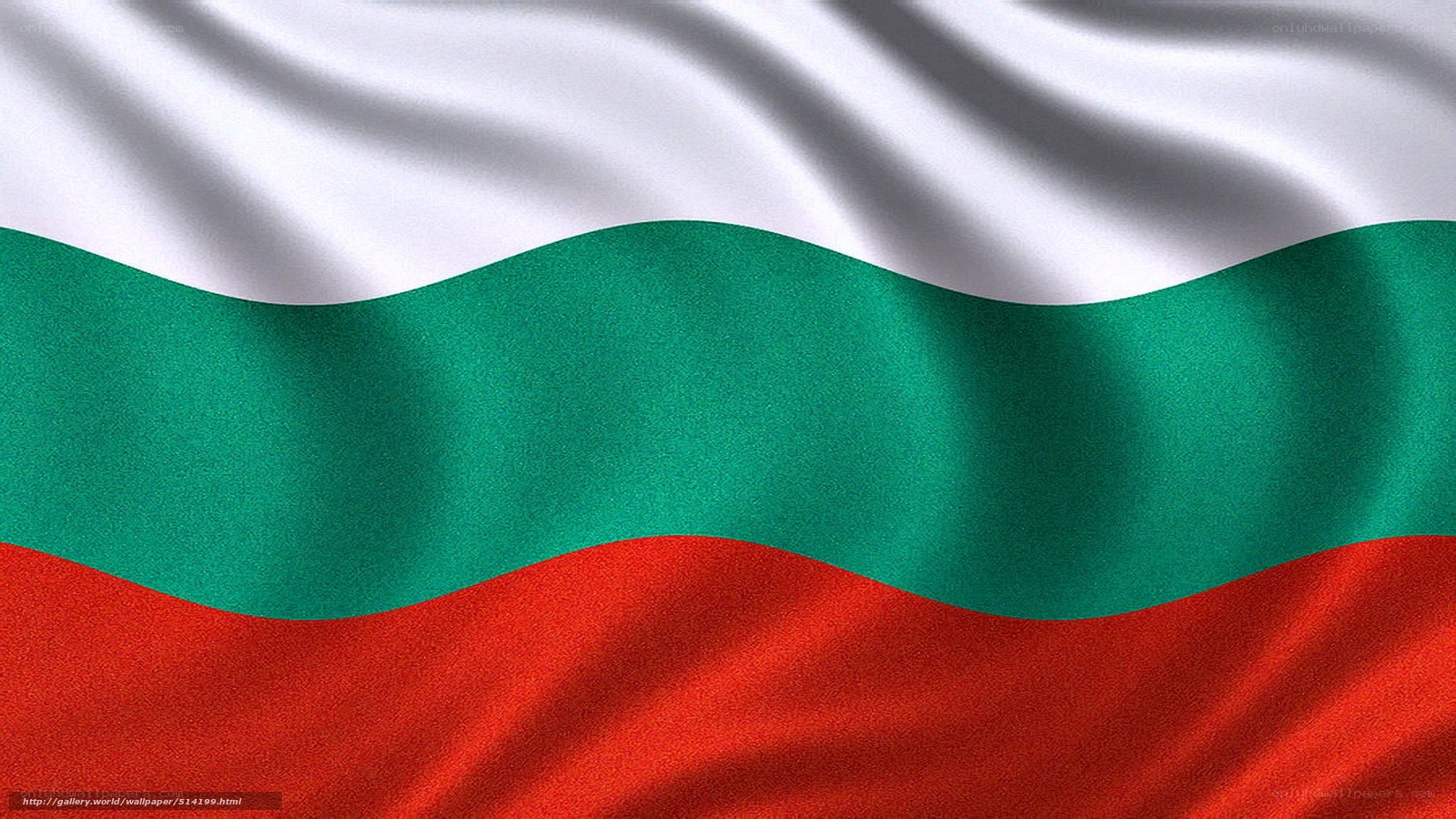 Bulgarian flag waving