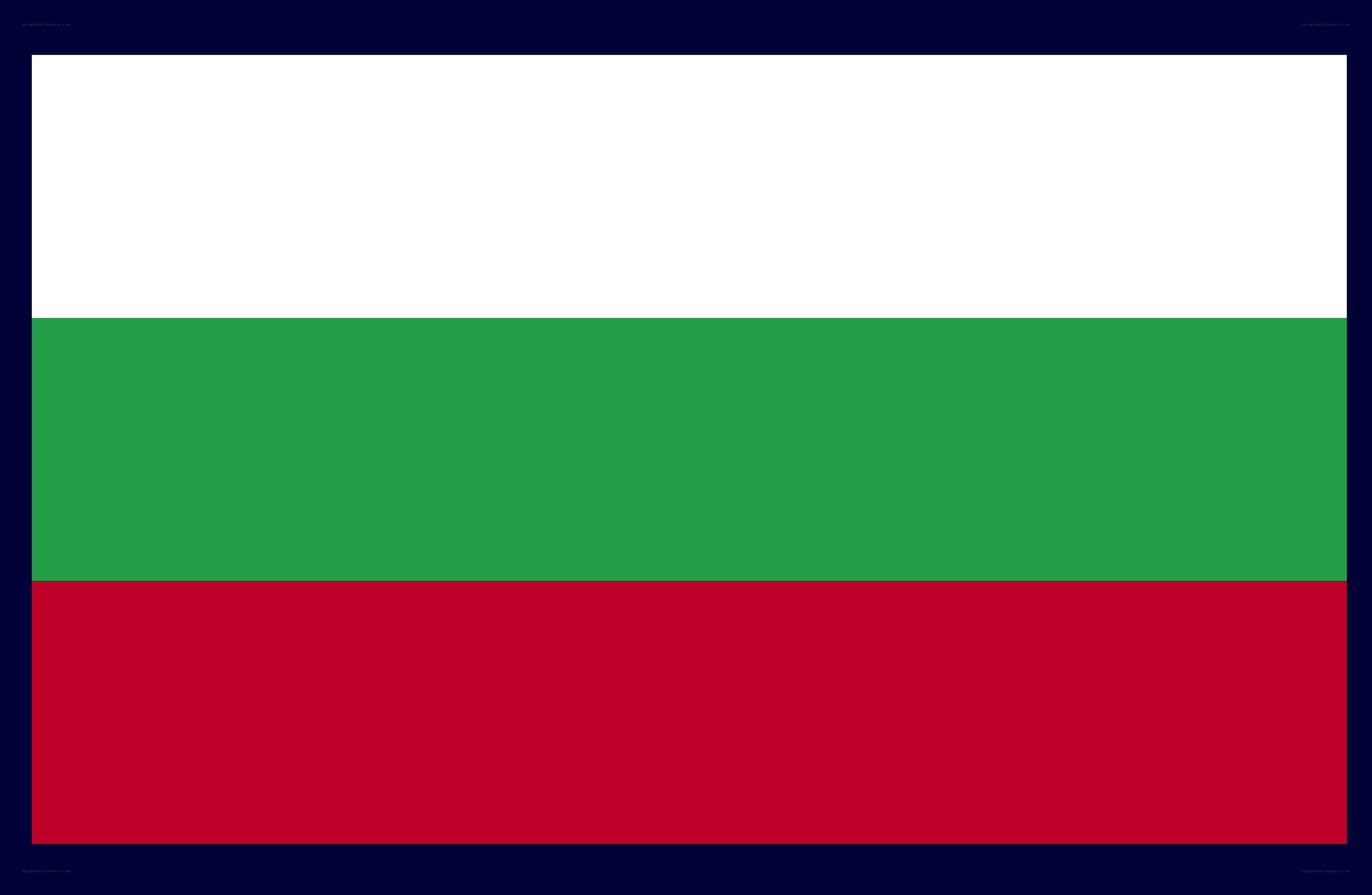 Bulgarian national flag