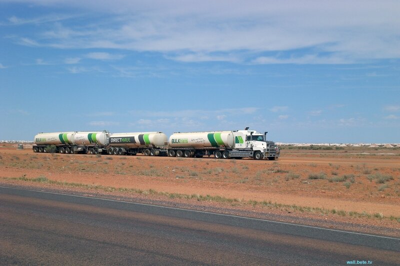 Bulk transport trucks in desert