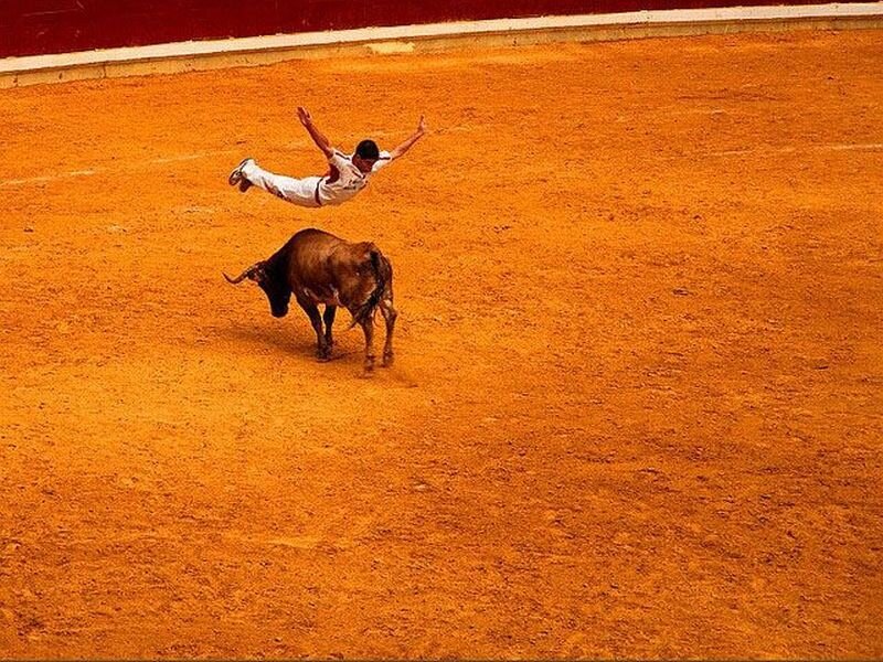 Bull and Man in Arena