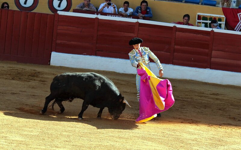 Bull and Matador — Brown, Dramatic