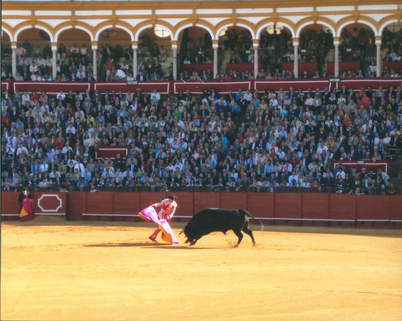 Bull and Matador — Brown