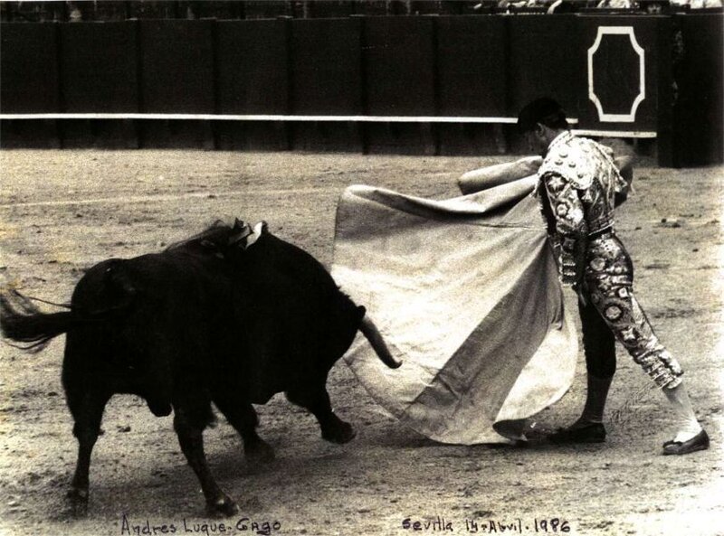 Bull and Matador