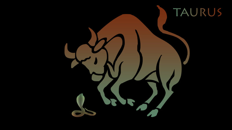 Bull and Snake
