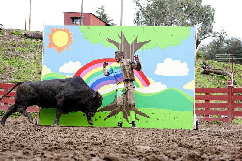 Bull Charging Man