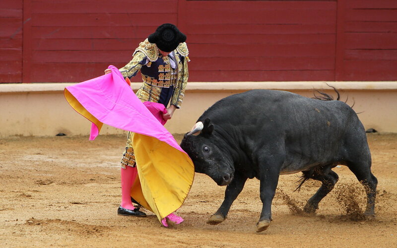 Bull Charging Matador — Black, Dramatic
