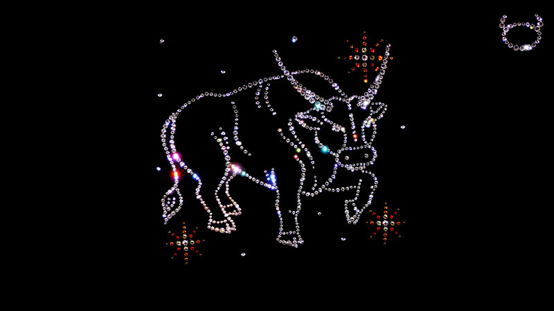 Bull Constellation — Black