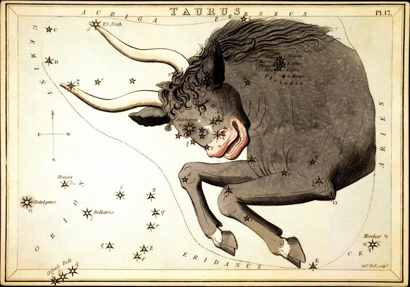 Bull Constellation