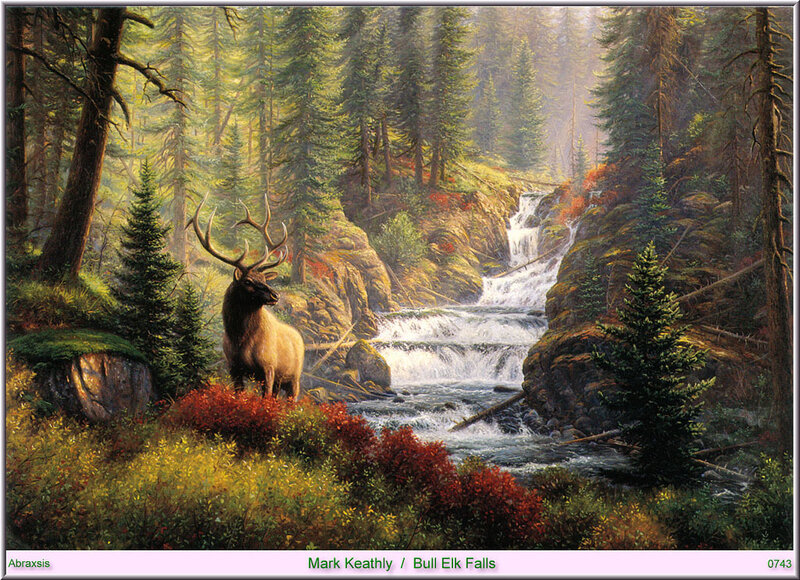 Bull Elk in Forest — Green