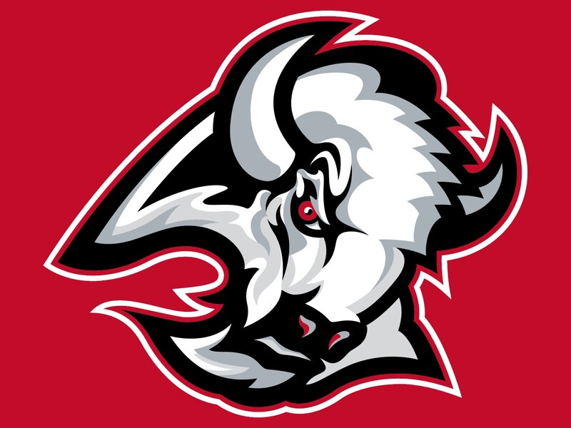 Bull Head Logo — Red