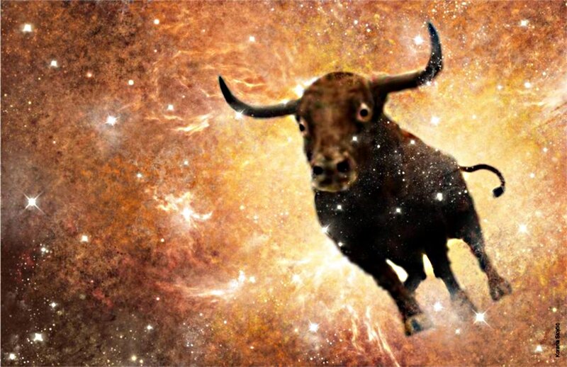 Bull in Space