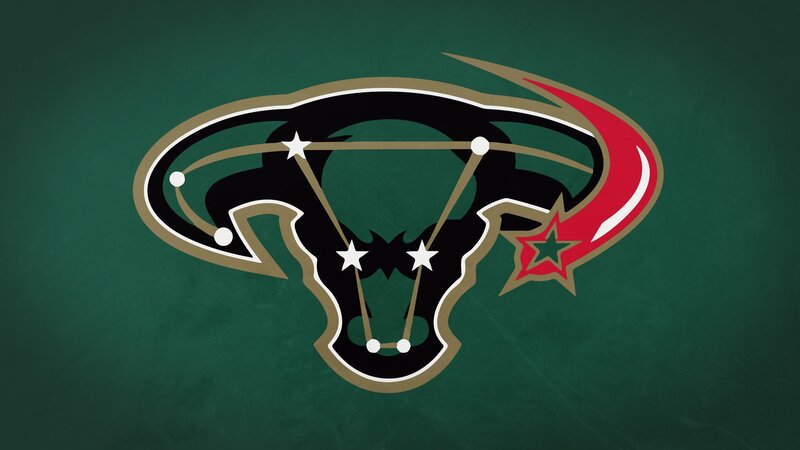 bull logo with stars