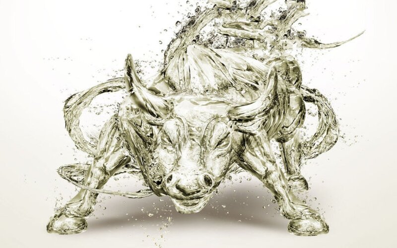 bull made of water