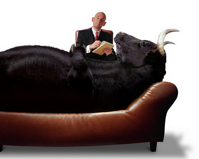 Bull on Couch with Man