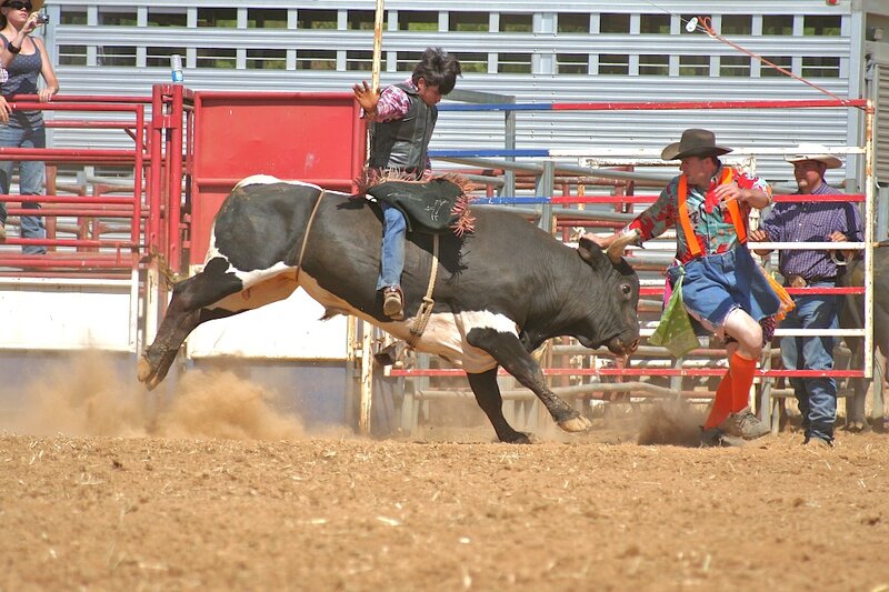 Bull Rider in Arena