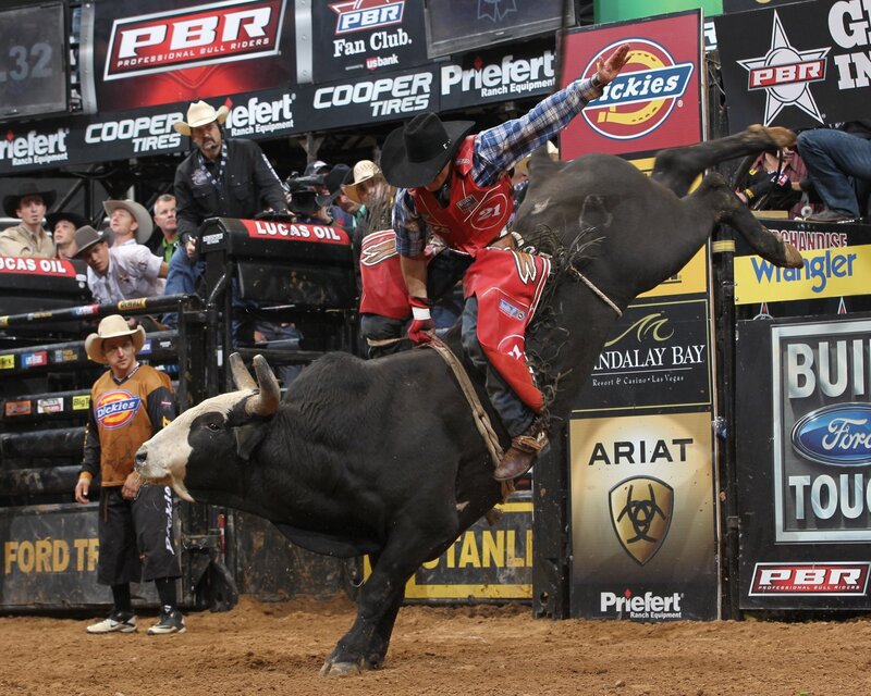 Bull Rider on Bucking Bull