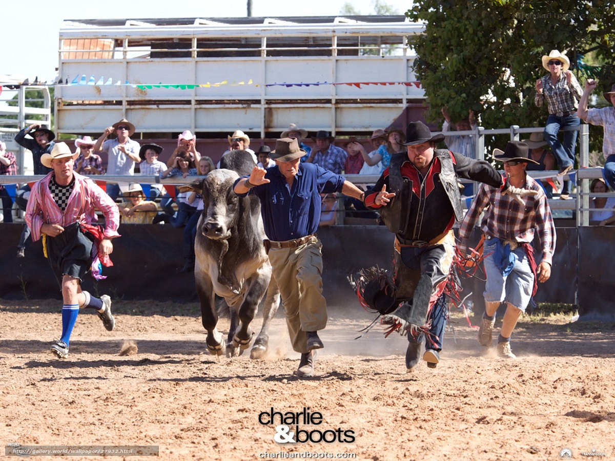 Bull running at rodeo