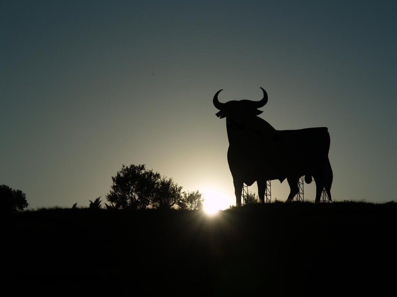 Bull sculpture at sunset