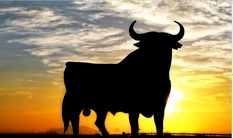 Bull silhouette at sunset