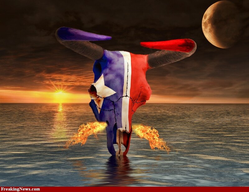 Bull skull with flag on ocean