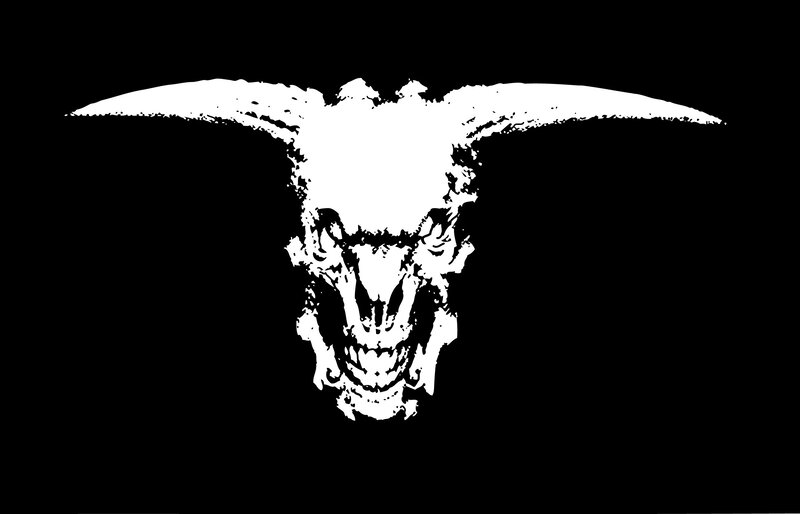 Bull Skull with Horns — White
