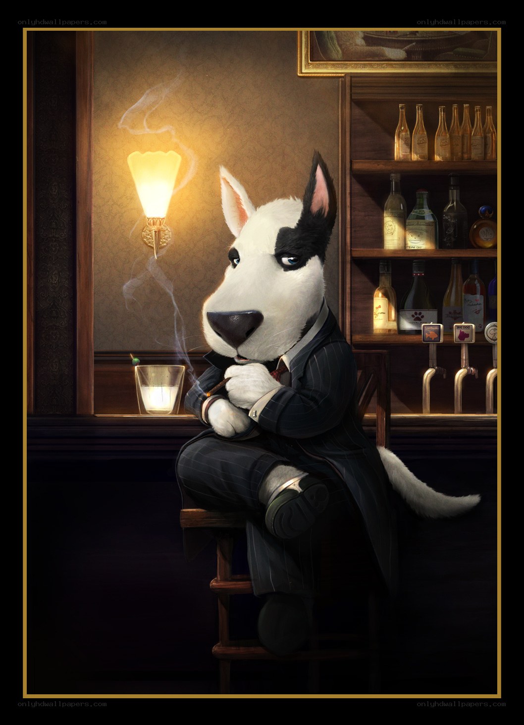 Bull terrier in a bar