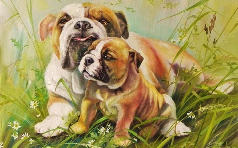 Bulldog and Puppy