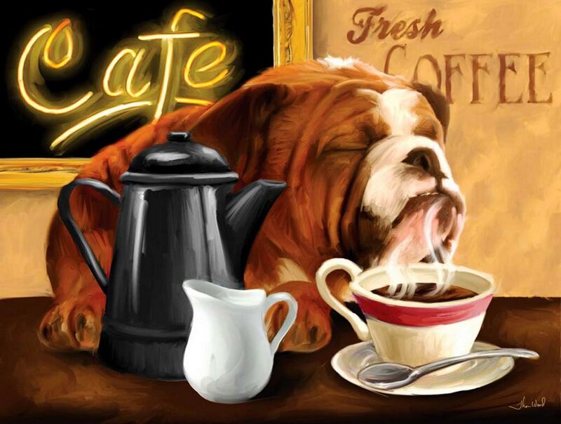 Bulldog Drinking Coffee