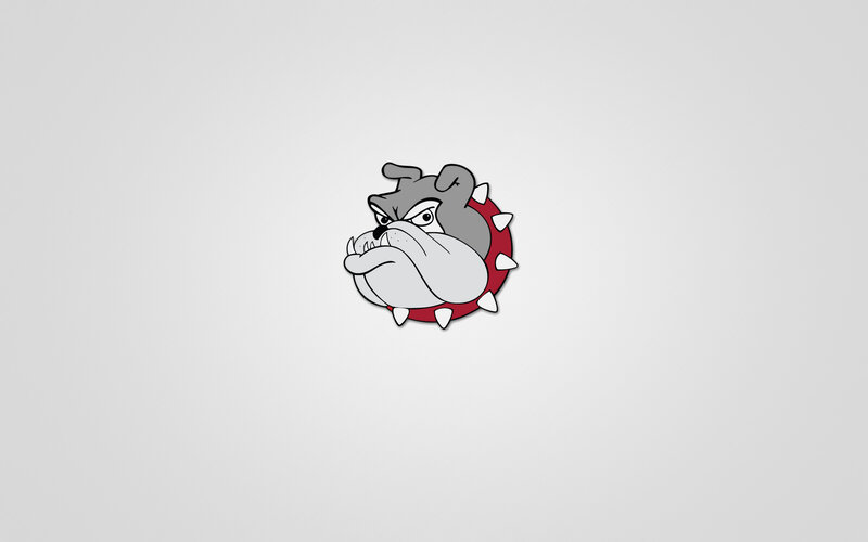 Bulldog Head Logo — Gray