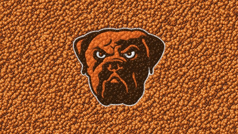 Bulldog Head Logo