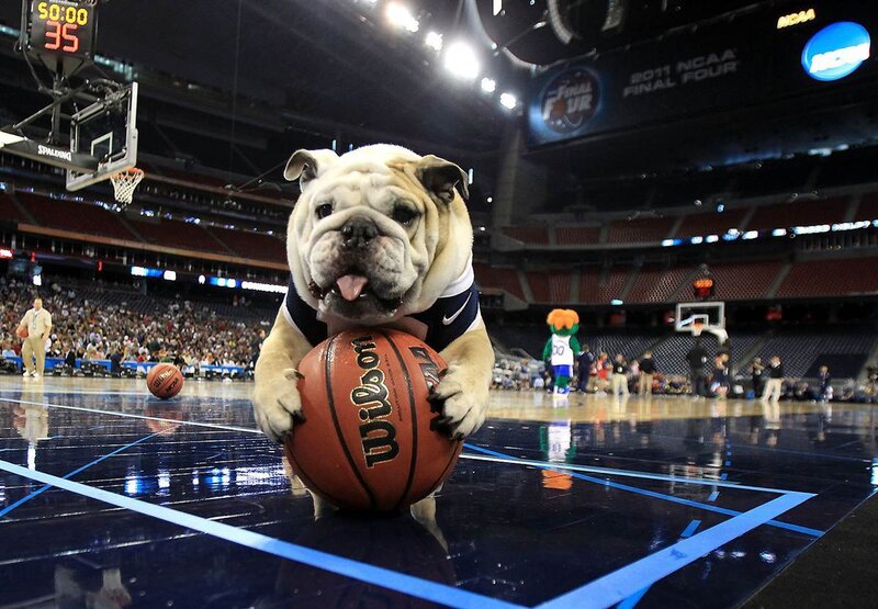 Bulldog Holding Basketball