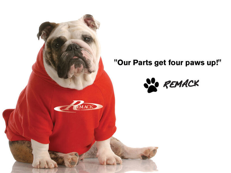 Bulldog in Red Hoodie