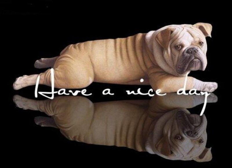 Bulldog Lying Down — Black