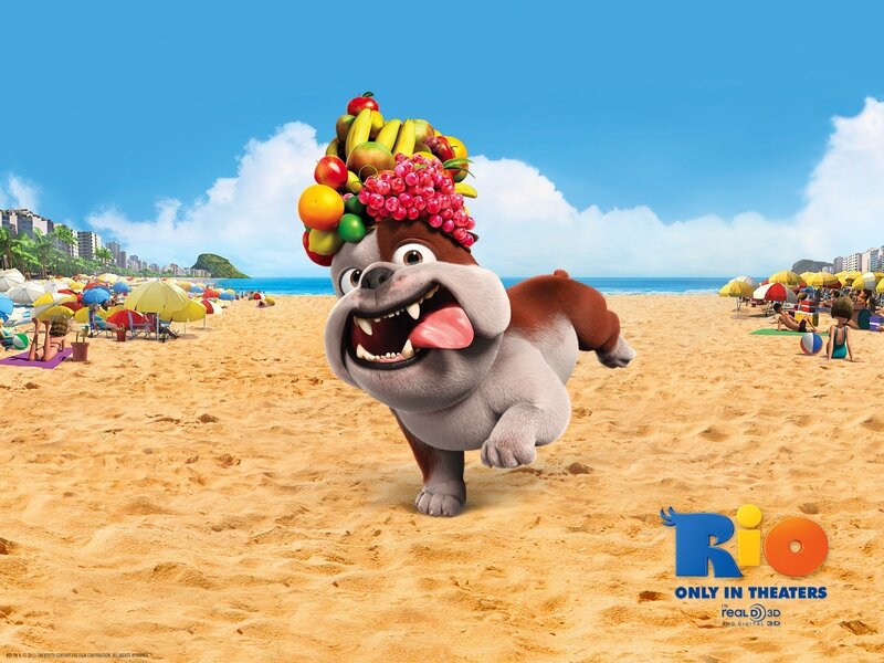 Bulldog on a beach with fruit