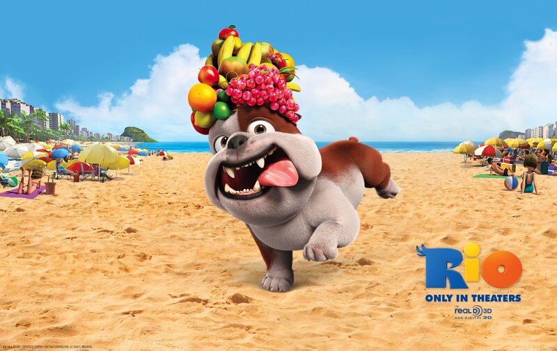 Bulldog on a beach with fruit